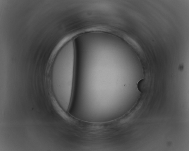 X0000095530800200712140933