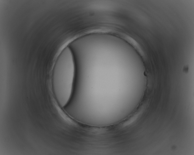 X0000095530802200712140933