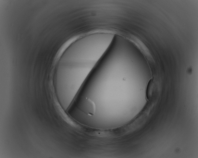 X0000095530804200712140933