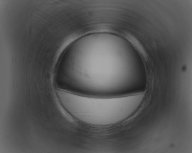X0000095530805200712140933