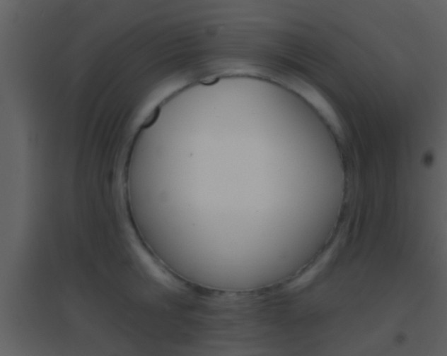 X0000095530806200712140933