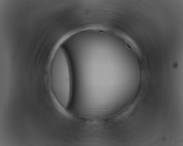 X0000095530808200712140933