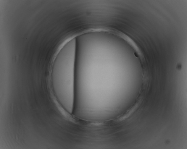 X0000095530810200712140933