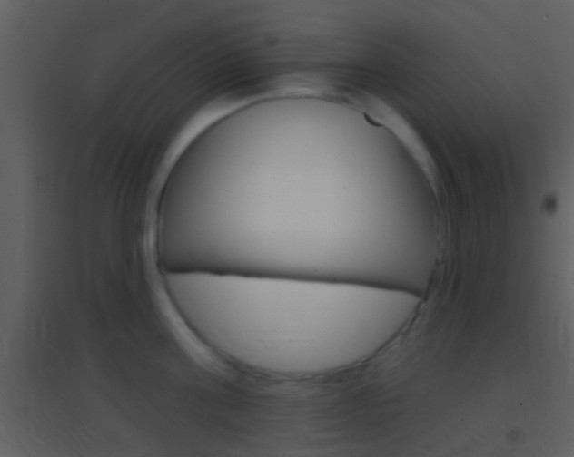 X0000095530811200712140933