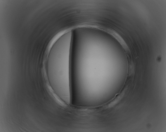 X0000095530812200712140933
