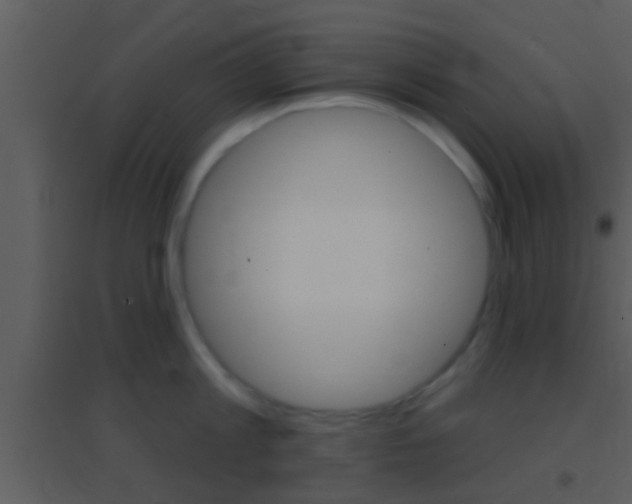 X0000095530813200712140933