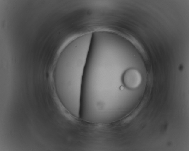 X0000095530814200712140933
