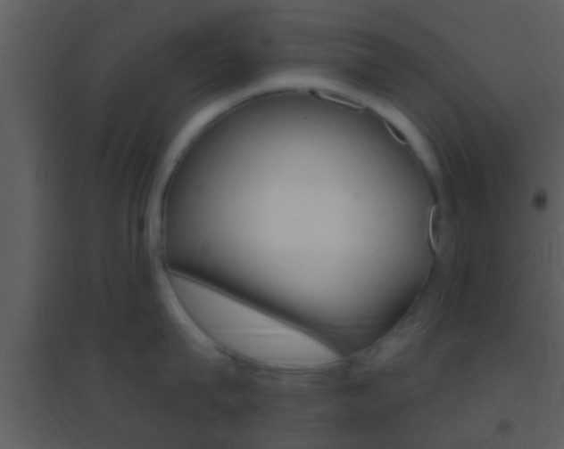 X0000095530815200712140933
