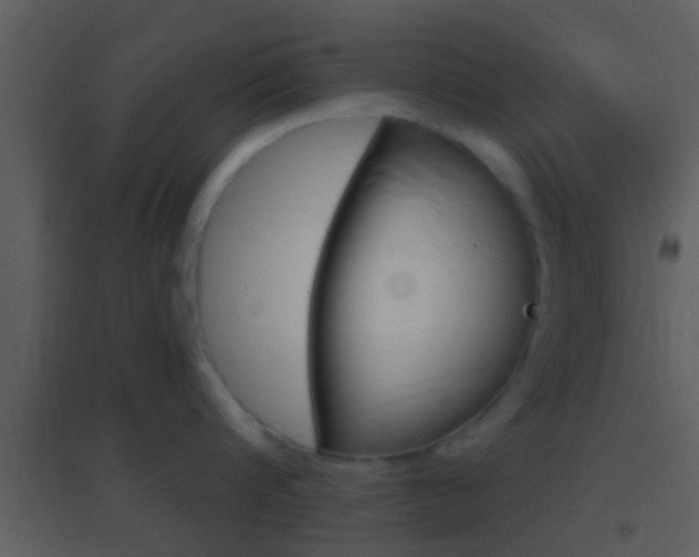 X0000095530816200712140933