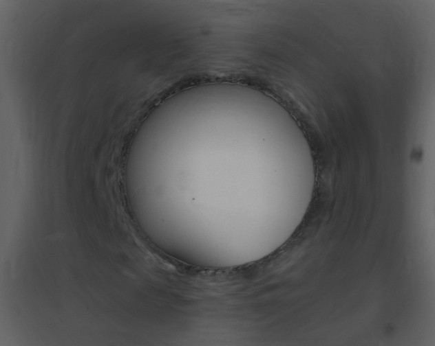 X0000095530817200712140932