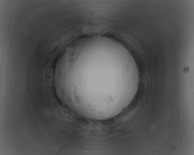 X0000095530818200712140932