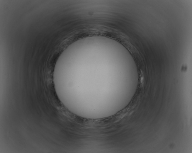 X0000095530819200712140932
