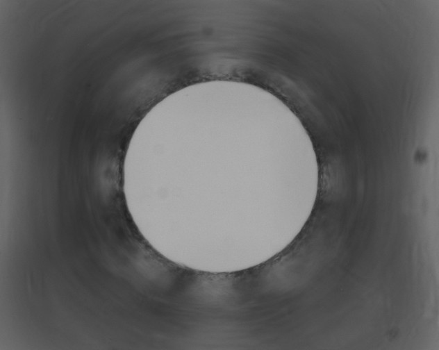 X0000095530820200712140932