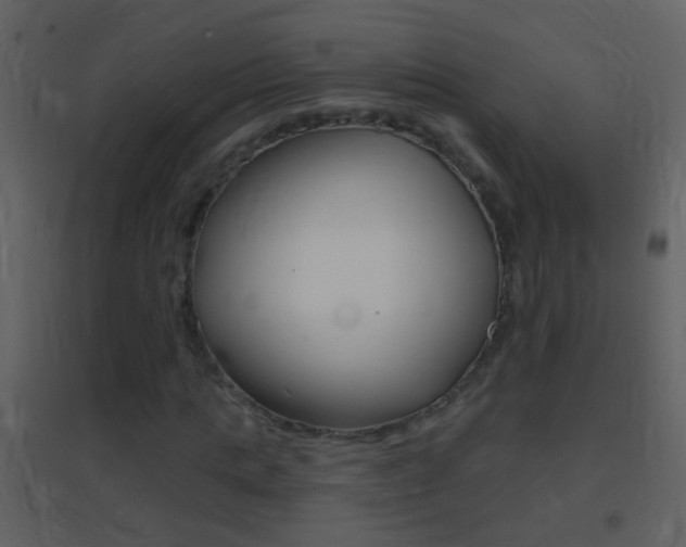X0000095530821200712140932