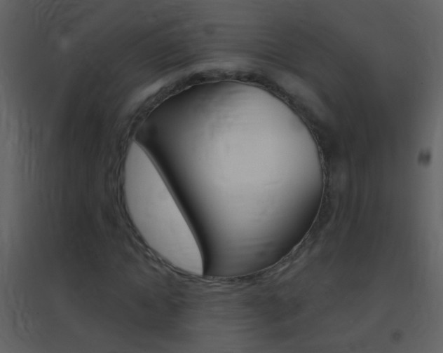 X0000095530822200712140932