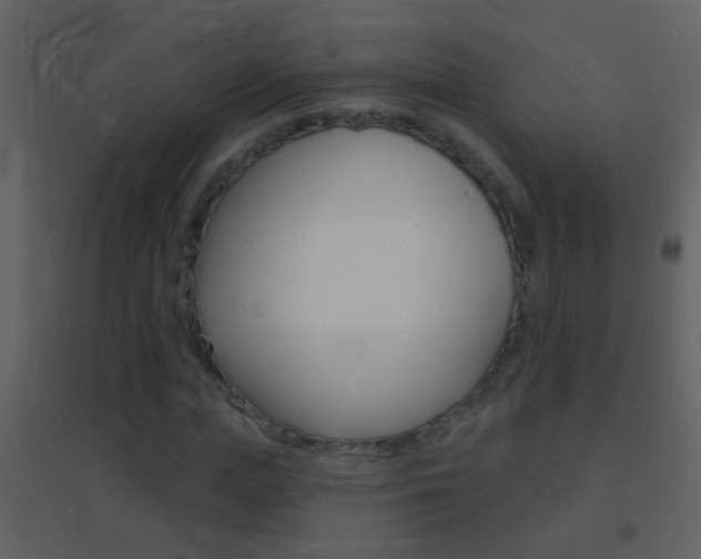 X0000095530823200712140932