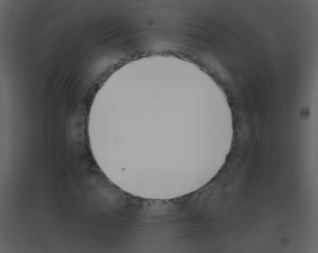 X0000095530824200712140932