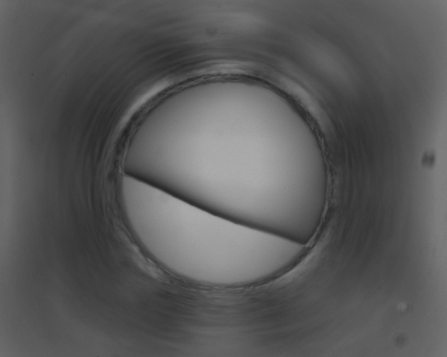 X0000095530827200712140932