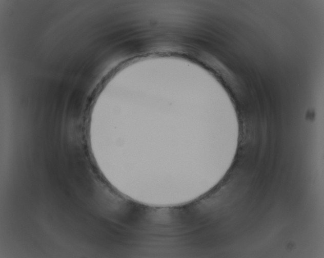 X0000095530828200712140932