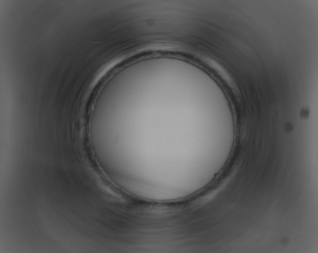 X0000095530829200712140932