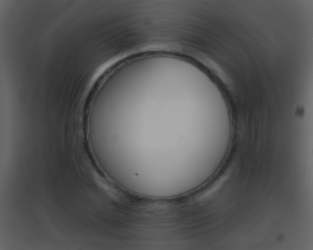 X0000095530830200712140932