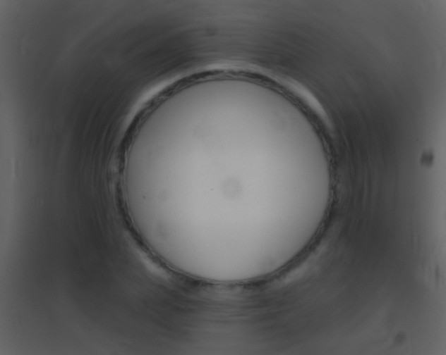 X0000095530831200712140932