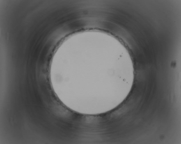 X0000095530832200712140932