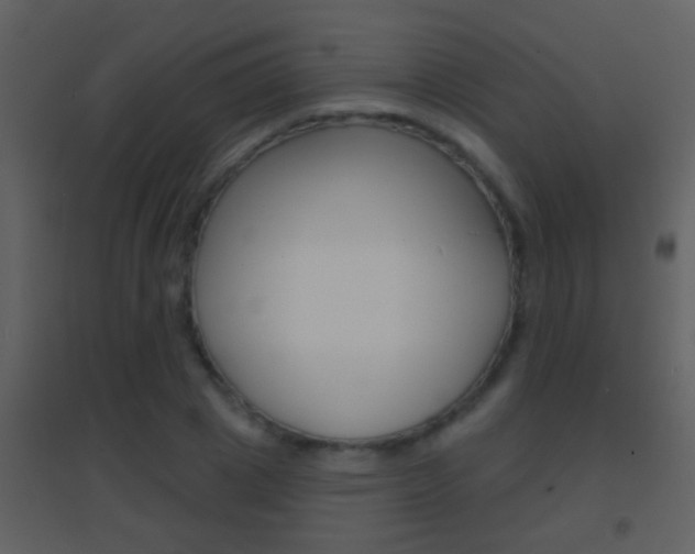 X0000095530833200712140932
