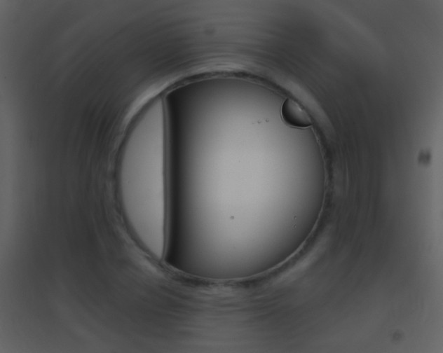 X0000095530834200712140932