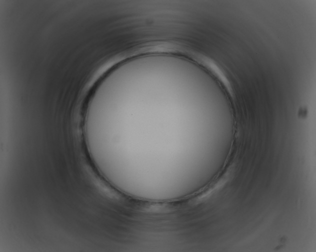X0000095530835200712140932