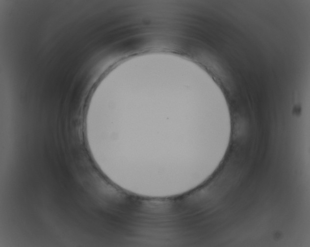 X0000095530836200712140932