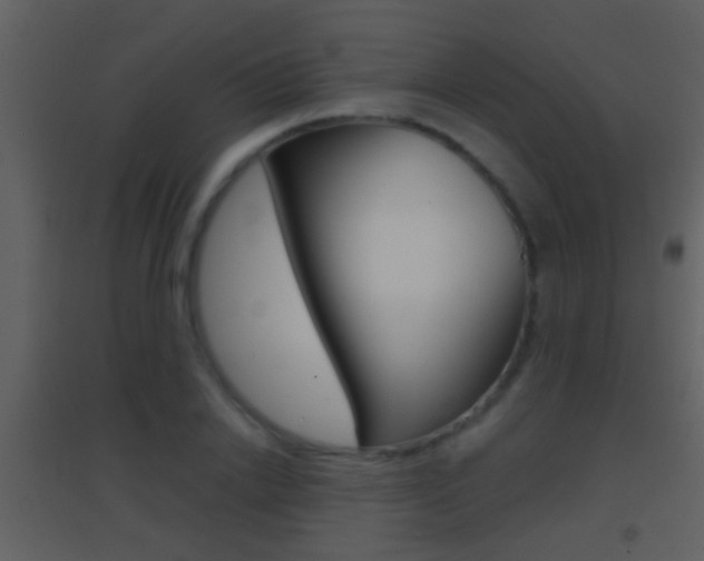 X0000095530838200712140932