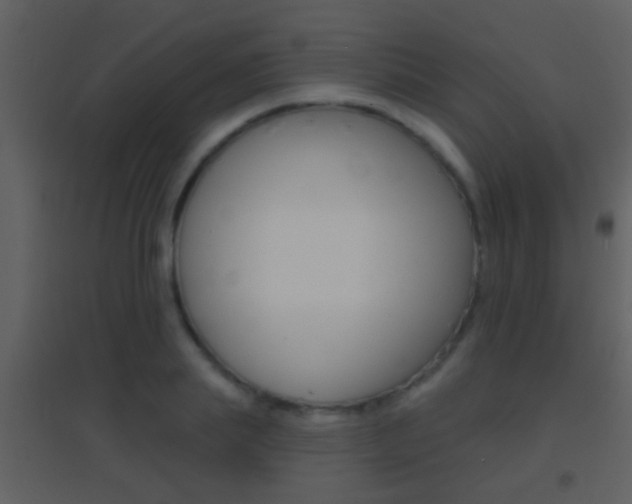 X0000095530839200712140932