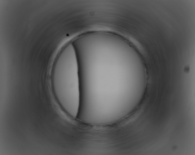X0000095530840200712140932