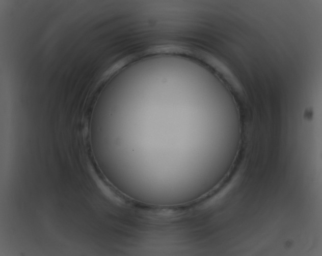 X0000095530841200712140932