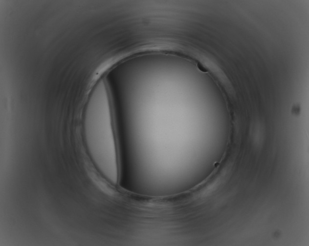 X0000095530842200712140932