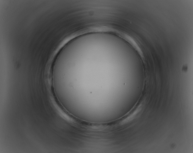 X0000095530843200712140932