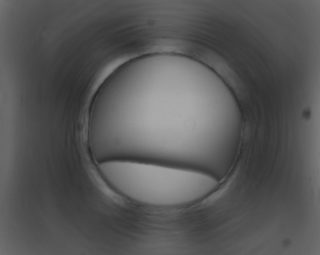 X0000095530844200712140932