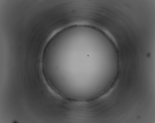 X0000095530845200712140932