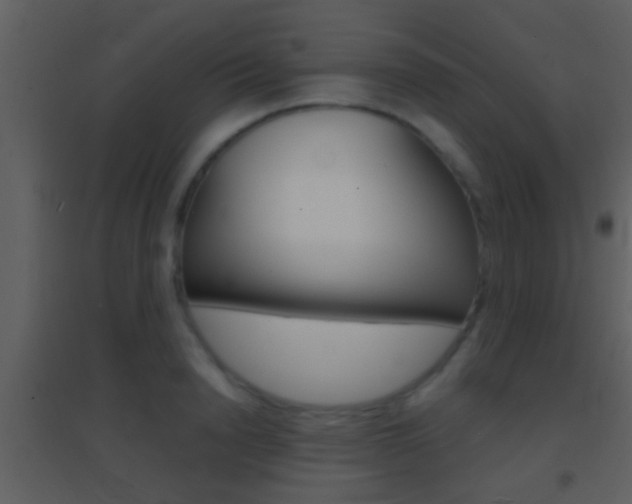 X0000095530846200712140932