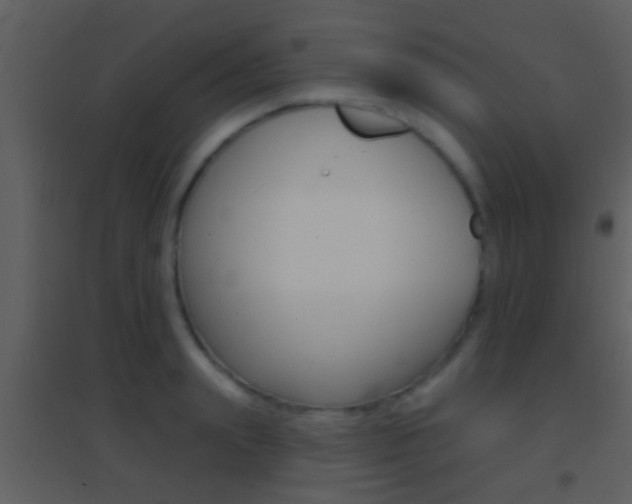 X0000095530847200712140932