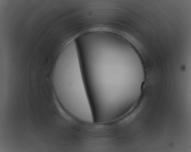 X0000095530849200712140932