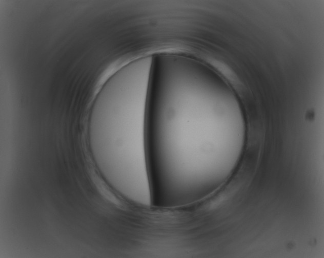 X0000095530850200712140932