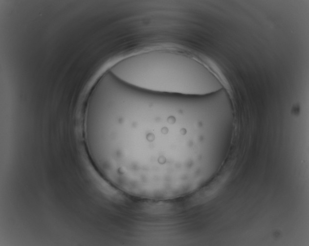 X0000095530851200712140932