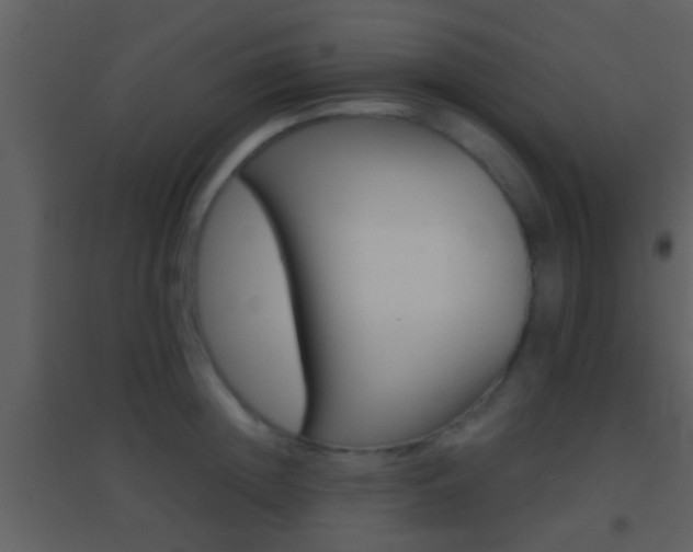 X0000095530852200712140932