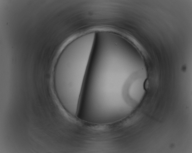 X0000095530853200712140932