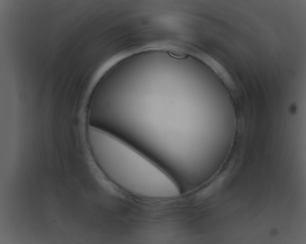 X0000095530854200712140932