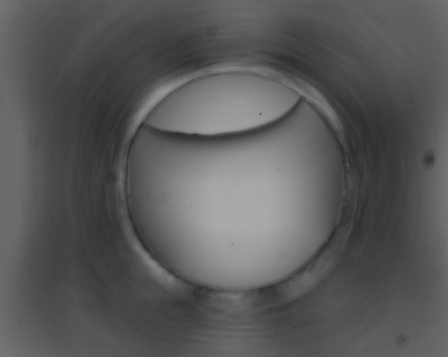 X0000095530855200712140932