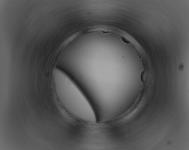 X0000095530857200712140933