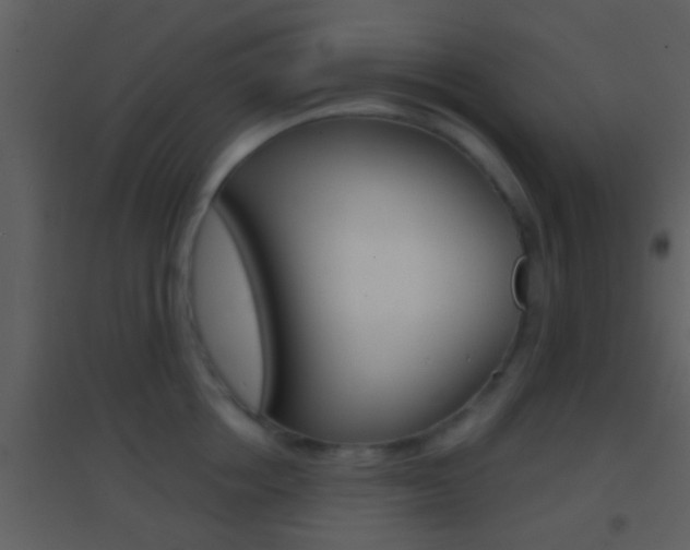 X0000095530858200712140933